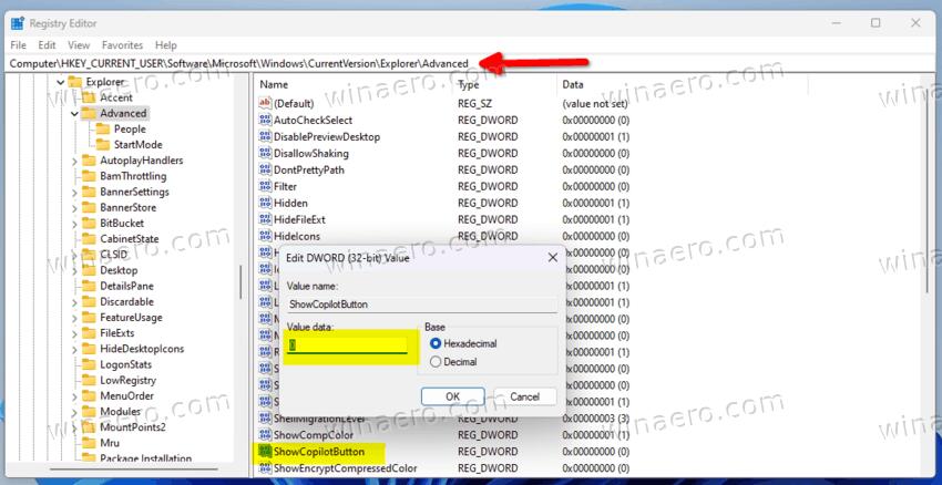 Disable Copilot Taskbar Button in Registry