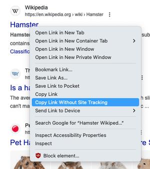 Firefox Cut Tracking Params When Copy A URL