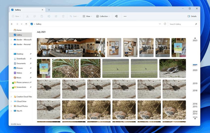 Windows 11 Gallery in File Explorer