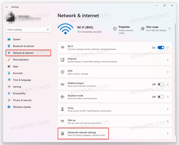 Advanced Network Settings Item In Settings