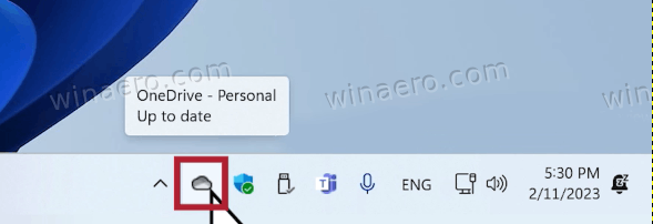 Click On The Tray Icon