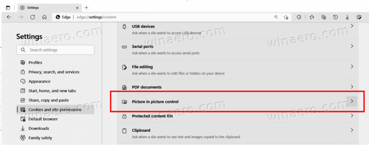 Disable Picture In Picture Button In Microsoft Edge 01