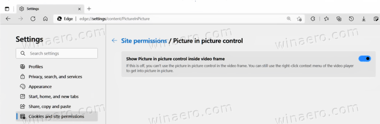 Disable Picture In Picture Button In Microsoft Edge 02